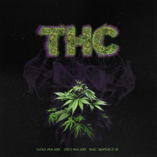 Thc_poster_image