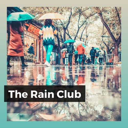 The Rain Club, Pt. 29 cover art