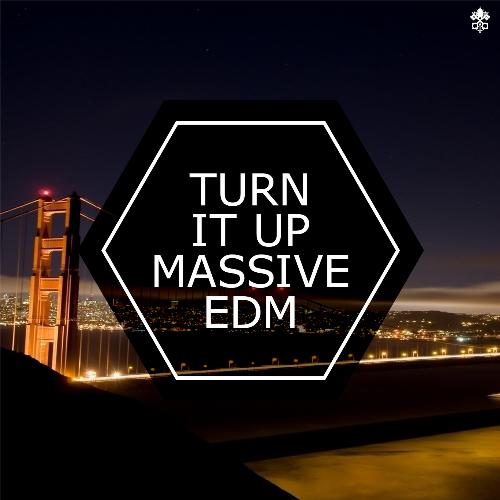 Turn it Up Massive EDM