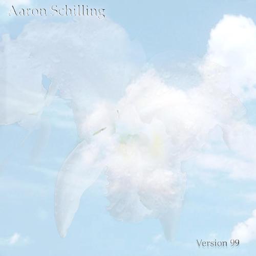 Robin cover art