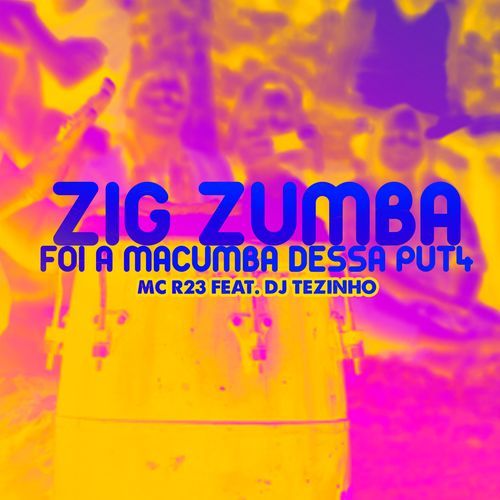 ZIG ZUMBA_poster_image