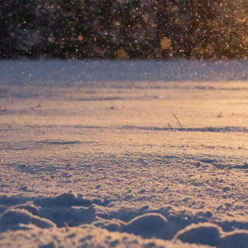 snowy thoughts