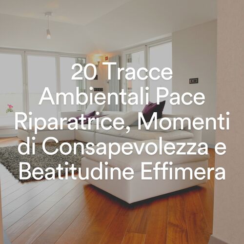 20 Tracce Ambientali Pace Riparatrice, Momenti di Consapevolezza e Beatitudine Effimera_poster_image