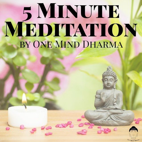 5 Minute Meditation Practices