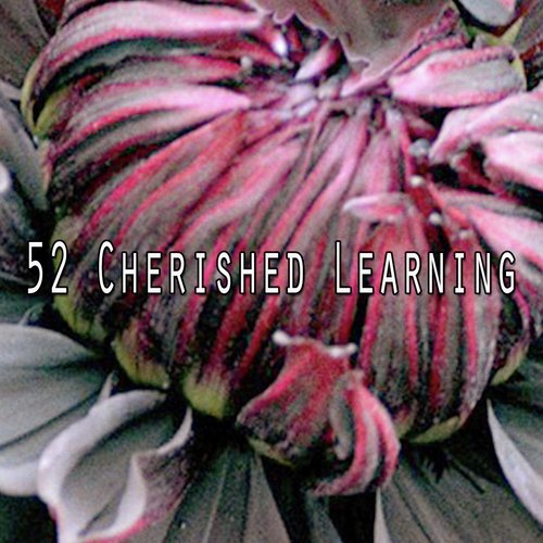 52 Cherished Learning_poster_image