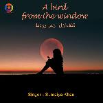 A Bird From The Window