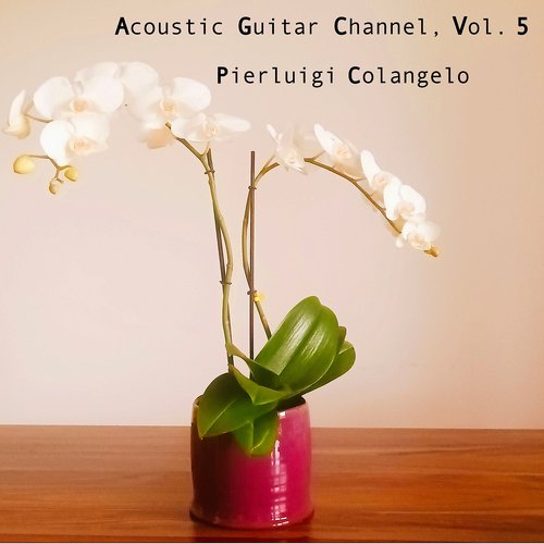 Acoustic Guitar Channel, Vol. 5_poster_image