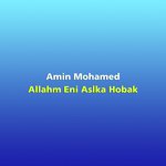 Amin Mohamed