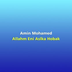 Amin Mohamed