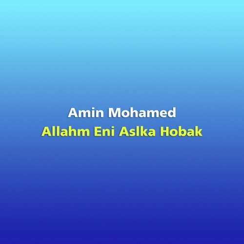 Amin Mohamed