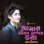 Amar Jibon Neshai Vora