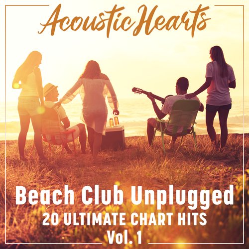 Beach Club Unplugged: 20 Ultimate Chart Hits, Vol. 1_poster_image