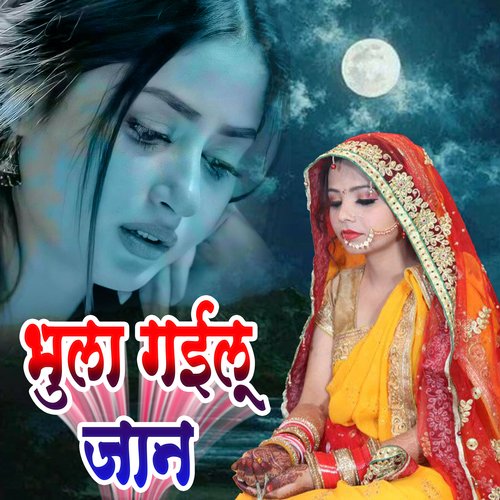 Bhula Gayilu Jaan