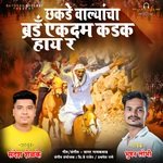 CHAKDE WALYANCHA BRAND YEKDAM KADAK HAYR