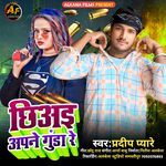 Chhiye Apne Gunda Re