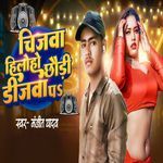 Chijuba Hile Ho Chhori DJwa Par