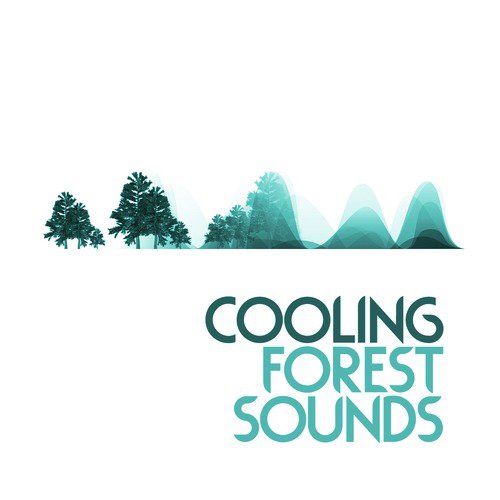 Cooling Forest Sounds