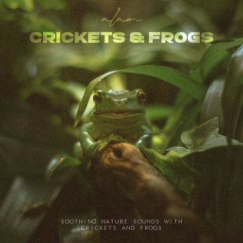 Crickets & Frogs
