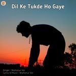 Dil Ke Tukde Ho Gaye