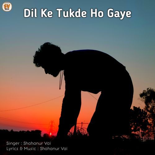 Dil Ke Tukde Ho Gaye