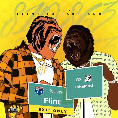 Flint to Lakeland_poster_image