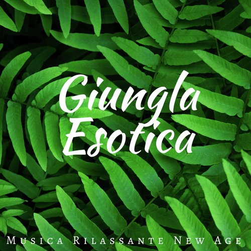 Musica per Meditare cover art