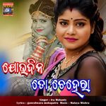 Jau Dina To Chehera