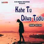 Kahe Tu Dilwa Todlu