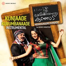 Kunjaade Kurumbanaade (Instrumental)