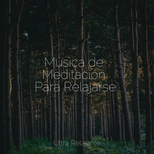 Melodía Relajante cover art