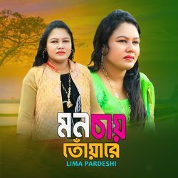 মন চায় তোয়ারে