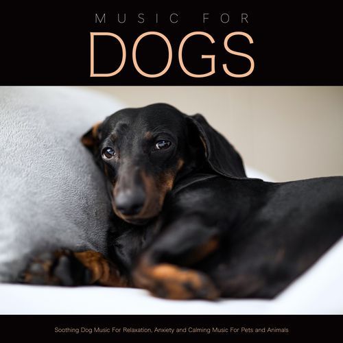Music for Dog's Ears cover art