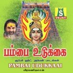 Pambai Udukkai