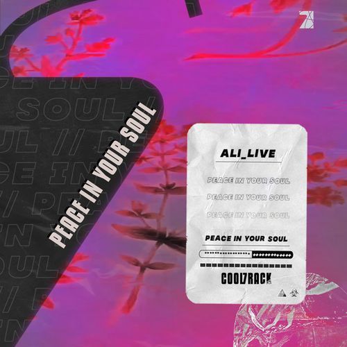 Peace in your soul - capa (Radio Edit) cover art