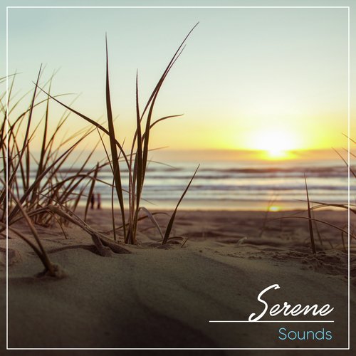 #Serene Sounds_poster_image