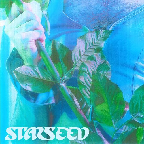 Starseed cover art