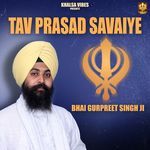 Tav Prasad Savaiye