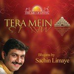 Tera Mein