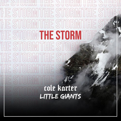 The Storm_poster_image