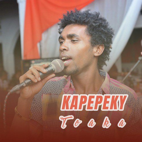 Toaka cover art