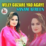 Velly Guzare Yad Agaye artwork
