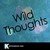 Wild Thoughts (In the Style of DJ Khaled feat. Rihanna & Bryson Tiller) [Karaoke Version]