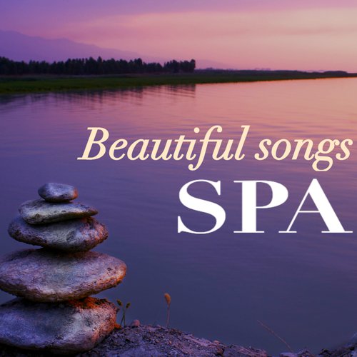 50 Beautiful Spa Songs - Wellness Center Music Collection, Luxury Natural Background_poster_image