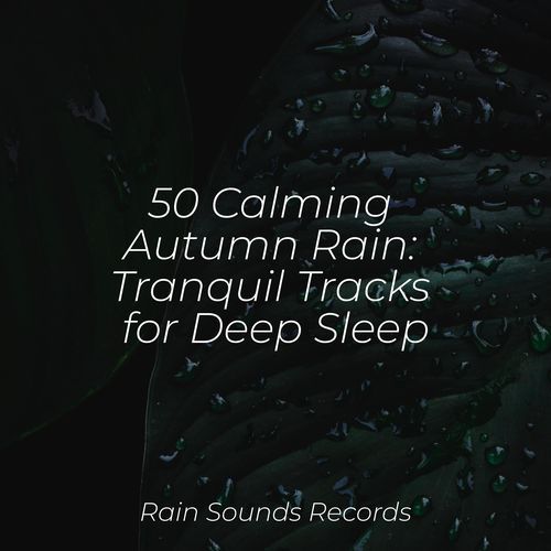 50 Calming Autumn Rain: Tranquil Tracks for Deep Sleep