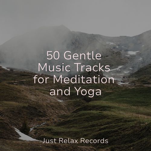 50 Gentle Music Tracks for Meditation and Yoga