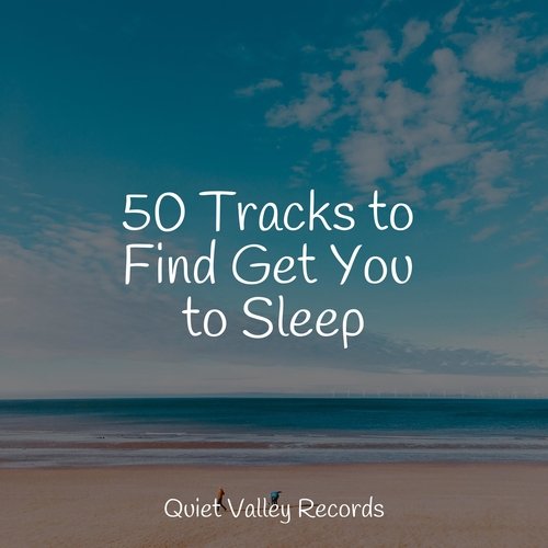 50 Tracks to Find Get You to Sleep_poster_image