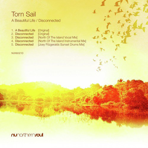 A Beautiful Life (Original Mix) cover art