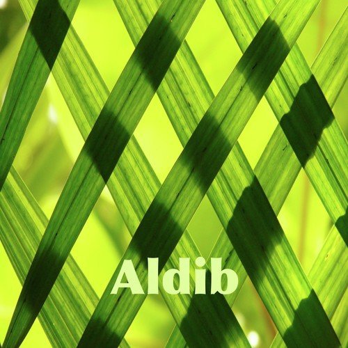 Aldib