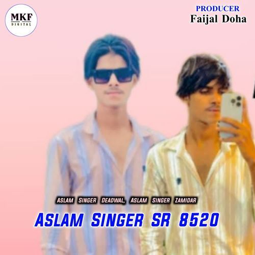 Aslam Singer SR 8520