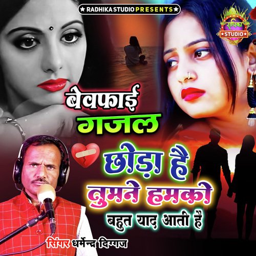 Chhoda Hai Tumne Hamko Bahut Yaad Aati Hai